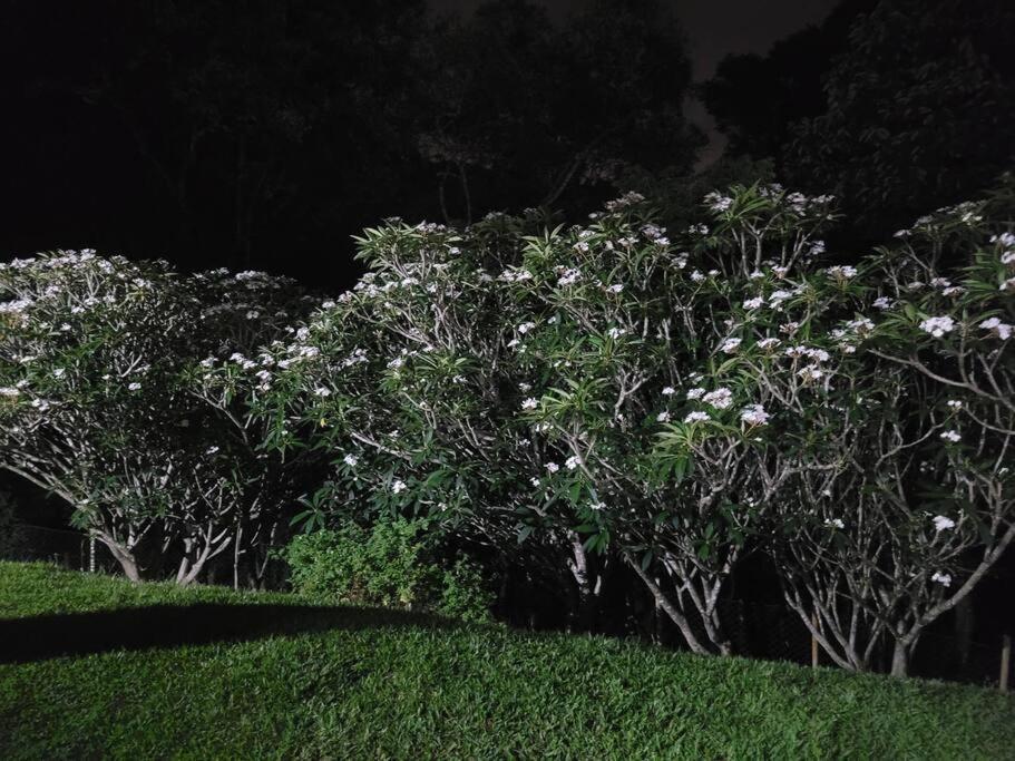 Villa Chácara dos Sonhos em Mairiporã Exterior foto